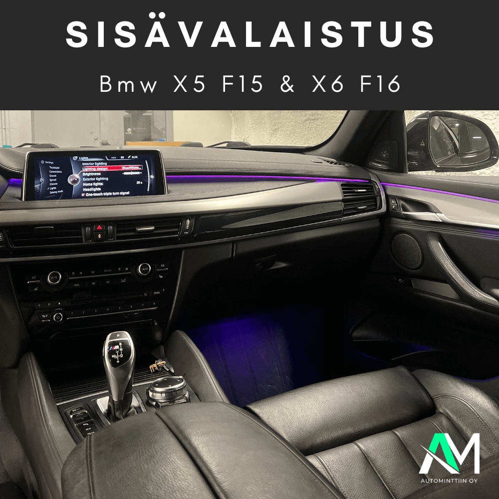 Bmw x6 F16 Ambient light