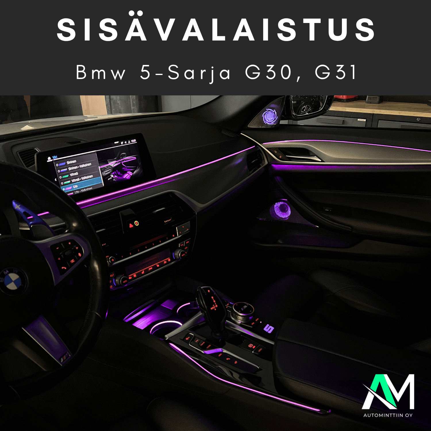 Bmw G30 Ambient Light