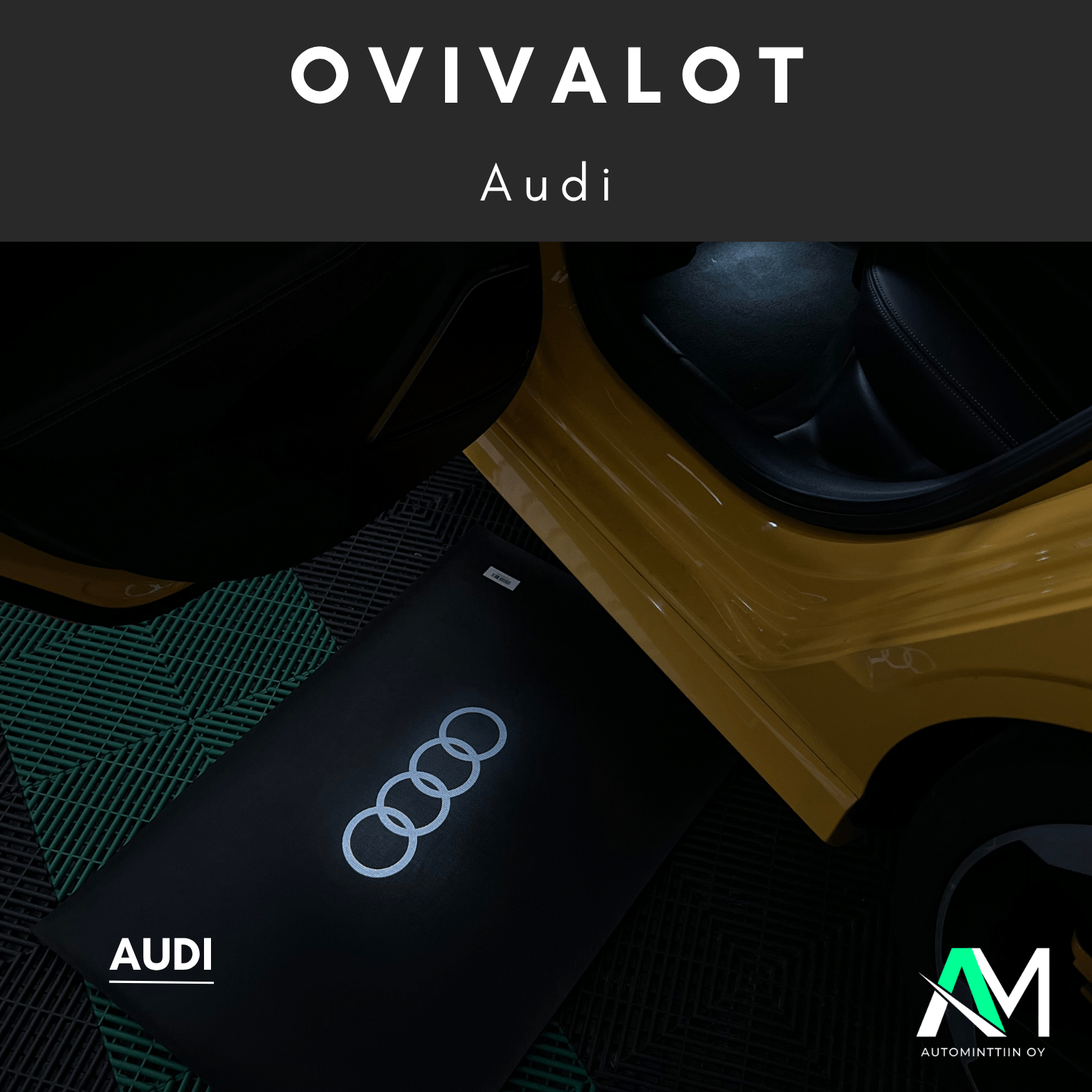 Audi Door entry light